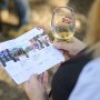 Teran Wine & Walk 20241