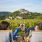 Jesenski hedonizam u Istri: kreće prodaja kotizacija za Wine & Walk by the Sea i Teran Wine & Walk