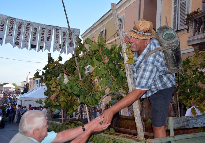 119. Dani grožđa u Bujama – slavlje tradicije, vina i zajedništva