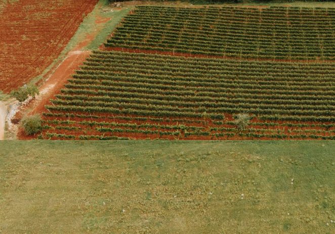 Dodijeljene potpore poljoprivrednicima u Općini Vižinada-Visinada
