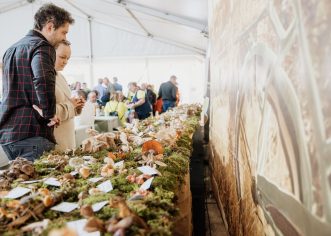 Od šume do tanjura: Dani gljiva u Brtonigli spojili prirodu, znanje i kulinarstvo