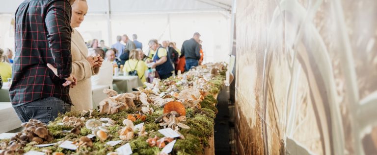 Dani gljiva u Brtonigli2 Dani gljiva u Brtonigli2