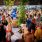 Najveći festival gina u regiji – Rovinj uskoro u znaku panela, predavanja i vrhunskih okusa!
