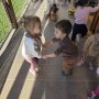 IMG-0bef39d79ee1092fd991d3691b357eed-V