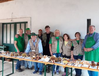 U Kontiji ove subote Dan gljiva – izložba, kotlić i šumske igre za djecu