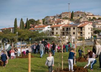 U Vrsaru posađen pokazni nasad lijeske – nastavak priče o Vrsaranskim amaretima