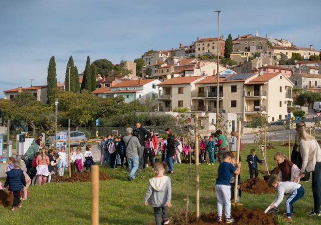U Vrsaru posađen pokazni nasad lijeske – nastavak priče o Vrsaranskim amaretima