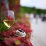 Teran Wine & Walk Motovun6