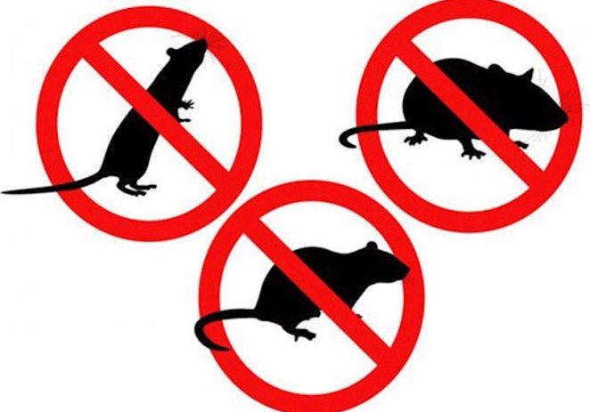 Provedba preventivnih mjera dezinsekcije i deratizacije na kanalizacijskom sustavu