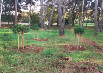 Turistička zajednica Grada Poreča provela projekt „Hrvatska prirodno tvoja“ – „Croatia naturally yours” – posađena stabla pinija