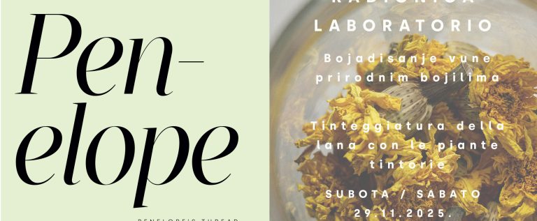 585894980_122268360698036006_7027841484727906917_n