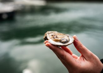 Besplatno vođeno kušanje kamenica na Crofish-u u Poreču