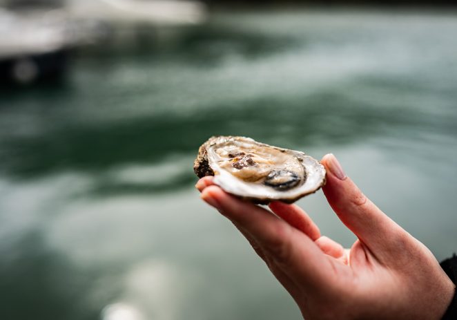 Besplatno vođeno kušanje kamenica na Crofish-u u Poreču