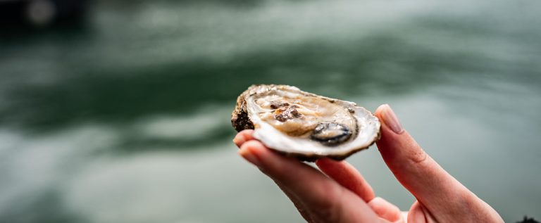 Kamenica (Foto Dino Radmanović)