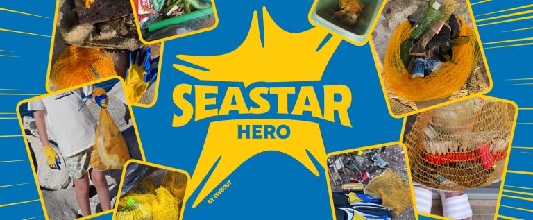 SeaStar Hero 2025