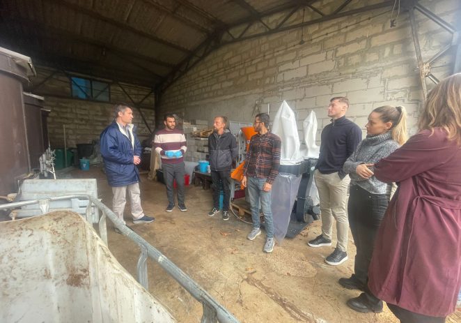 Valorizacija ostataka iz prerade maslina pomoću mikrobnog viševrstnog biokatalitičkog agregata – završna konferencija u porečkom Institutu