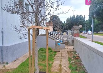 Više od 800 novih sadnica za još zeleniji Poreč – stižu kesteni, čempresi, masline, magnolije…