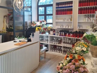 1772778708407-Izrezak