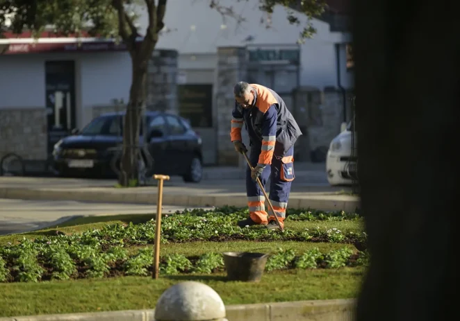 Usluga Poreč objavljuje Natječaj za zapošljavanje u radnim jedinicama Čistoća, Hortikultura i Komercijalne djelatnosti