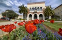 Grad Poreč nastavlja s mjerama za razvoj lokalnog poduzetništva – objavljen Javni poziv poduzetnicima