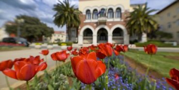 Grad Poreč nastavlja s mjerama za razvoj lokalnog poduzetništva – objavljen Javni poziv poduzetnicima