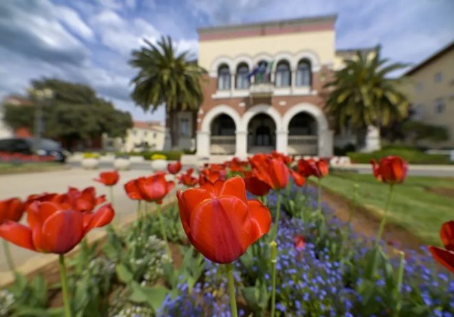 Grad Poreč nastavlja s mjerama za razvoj lokalnog poduzetništva – objavljen Javni poziv poduzetnicima
