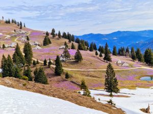 661015324_3826867057609129_4563534739342354831_n