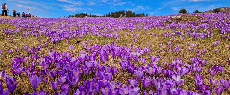 662745624_3826867124275789_4685586688751854244_n