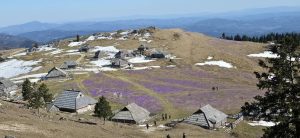 666217346_10237734014602448_2234552994622884331_n