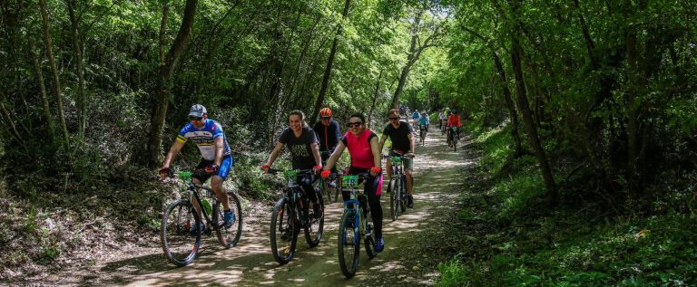 681993647_1345093660981813_4200785874053655087_n