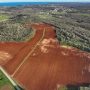 Agrolaguna_vinograd Starići