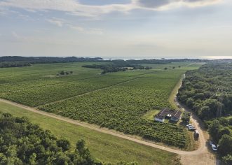 Badel 1862 i Agrolaguna: Godinu dana zajedno, rezultati vidljivi