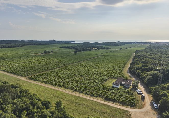 Badel 1862 i Agrolaguna: Godinu dana zajedno, rezultati vidljivi