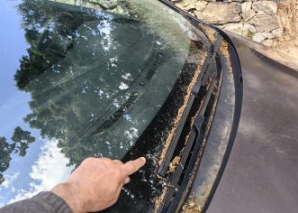 Proljetni pelud kao skriveni neprijatelj automobila: kako zaštititi lak, spriječiti oštećenja i očuvati vrijednost vozila