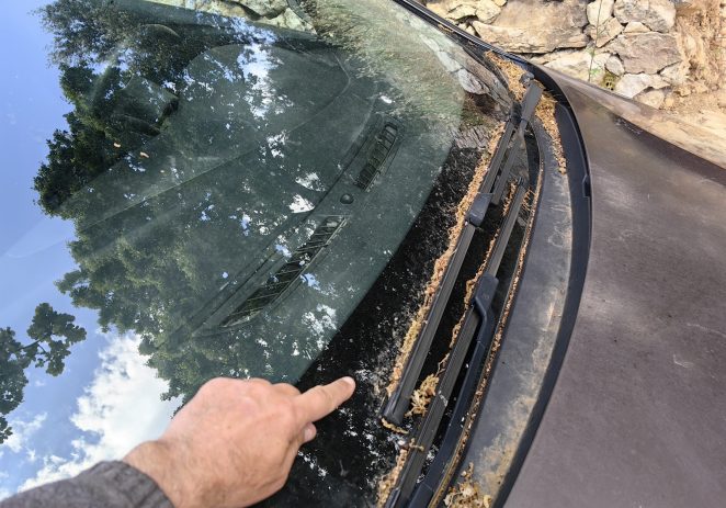 Proljetni pelud kao skriveni neprijatelj automobila: kako zaštititi lak, spriječiti oštećenja i očuvati vrijednost vozila