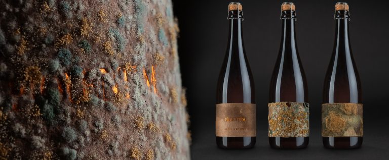 STUDIO_SONDA_Piquentum