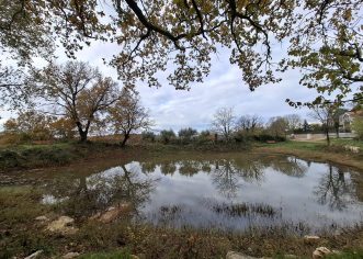 Institut za poljoprivredu  i turizam u Poreču u središtu obnove porečkih lokvi