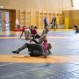 HHS - Learn, Wrestle, Use 2026