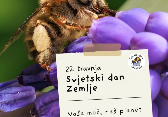 Danas obilježavamo Dan planete Zemlja, koji se ove godine odvija pod sloganom „Naša moć, naš planet”