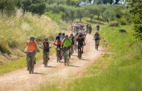 Gourm-E-bike – otkrijte okuse i krajolike Kaštelir-Labinci na dva kotača