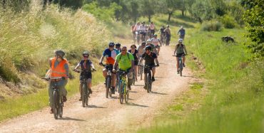 Gourm-E-bike – otkrijte okuse i krajolike Kaštelir-Labinci na dva kotača