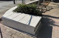 Uređuje se Viale – najpoznatiji porečki drvored – čisti se zid, tlakovci, slijedi i hortikulturno uređenje