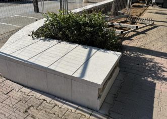 Uređuje se Viale – najpoznatiji porečki drvored – čisti se zid, tlakovci, slijedi i hortikulturno uređenje