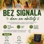 Bez signala- Satnica_1