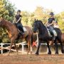 Horsebackriding camp