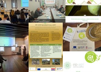 Dosadašnje aktivnosti na projektu: Klimatski održive prakse u maslinarstvu – dobrobit za maslinare i potrošače maslinova ulja porečkog Instituta