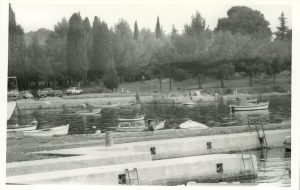 1976-22208