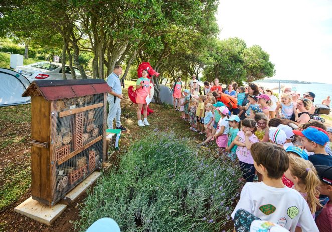 Otvoren novi hotel za pčele u kampu Camping Zelena Laguna