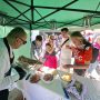 Prag Festival ambasada (2)