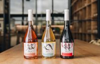 Inovacija iz Agrolagune – prvo hrvatsko bezalkoholno vino